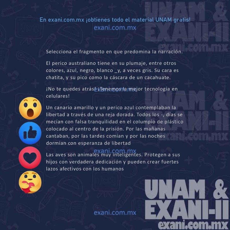 Banco de Preguntas Examen UNAM 2024: Reactivo Real | Página 22